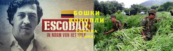 дурь Богданович