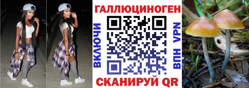 Купить закладки  Усть-Лабинск  Галлюциногенные грибы прущие грибы 