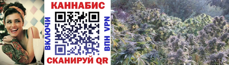 Купить  Усть-Лабинск  Бошки Шишки Amnesia 